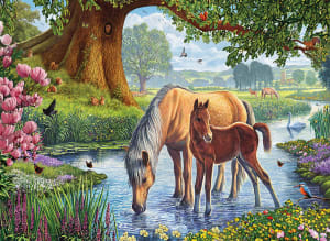 The Fell Ponies Lakes & Rivers By Eurographics
