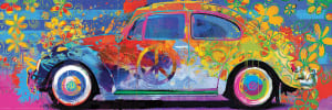 Beetle Splash Panoramic Vehicles By Eurographics