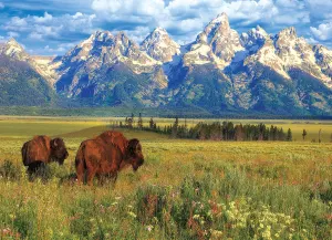 Grand Teton National Park National Parks By Eurographics