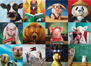 Funny Animals Collage By Eurographics
