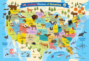 United States Map Illustrated United States By Eurographics