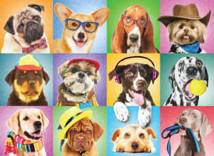 Silly Dogs - Scratch and Dent Dogs By Eurographics
