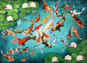 Colorful Koiscape Fish By Eurographics