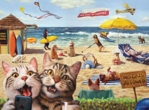 No Cats Allowed 3D Lenticular Beach & Ocean By Eurographics