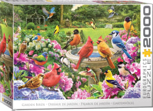 Bird Gathering Birds By Eurographics