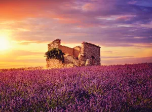 Lavender Ruins Landscape By Serious Puzzles