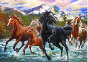 Black Stallion Friends - Scratch and Dent Horse By River's Edge