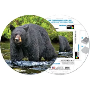 American Black Bear Bear By Pigment & Hue