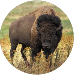 American Bison Puzzle A&bull;Round: Animals By Pigment & Hue