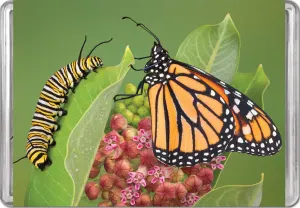 Monarch Butterfly MiniPix&reg; Puzzle Butterflies and Insects By Pigment & Hue