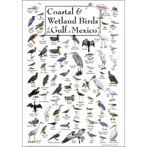 Birds of the Gulf of Mexico Birds By Heritage Puzzles