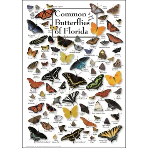 Butterflies of Florida Butterflies and Insects By Heritage Puzzles