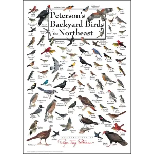 Peterson's Backyard Birds of the Northeast Birds By Heritage Puzzles