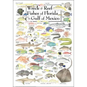 Wreck & Reef Fish of Florida & the Gulf of Mexico Fish By Heritage Puzzles