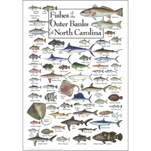 Fishes of the Outer Banks Fish By Heritage Puzzles