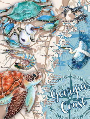 Coastal Georgia Beach & Ocean By Heritage Puzzles