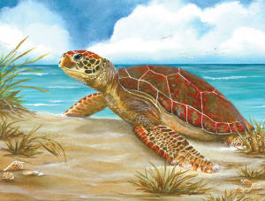 Perfect Spot Reptile & Amphibian By Heritage Puzzles