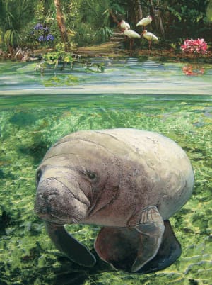 Manatee Beach & Ocean By Heritage Puzzles