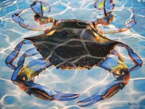 Blue Crab Bay Beach & Ocean By Heritage Puzzles