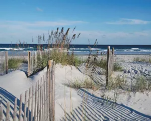Wild Dunes Beach & Ocean By Heritage Puzzles