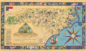A North Carolina Map for Nature Lovers Maps & Geography By Heritage Puzzles