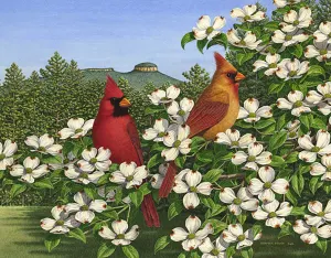 Carolina Calling Flower & Garden By Heritage Puzzles