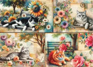 Catnap In The Park Collage By Delfy