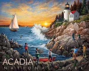 Acadia National Park National Parks By Boardwalk Puzzle Company