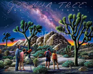 Joshua Tree National Park National Parks By Boardwalk Puzzle Company