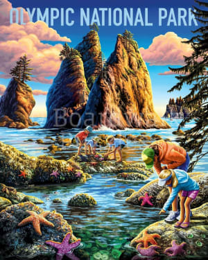 Olympic National Park National Parks By Boardwalk Puzzle Company