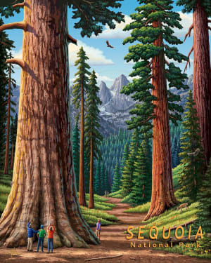 Sequoia National Park National Parks By Boardwalk Puzzle Company