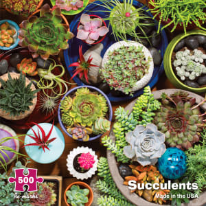 Succulents Collage By Re-marks