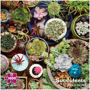 Succulents Flower & Garden By Re-marks