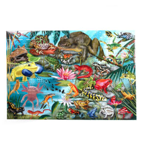 Love of Amphibians Reptile & Amphibian By eeBoo