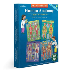 Ready to Learn- Human Anatomy 48Pc Set By eeBoo
