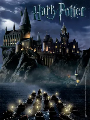 World of Harry Potter™ Harry Potter By USAopoly