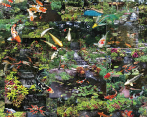 Koi, Koi, Koi Collage By Hart Puzzles