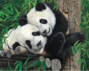 Bamboo Buddies  Bear By Hart Puzzles