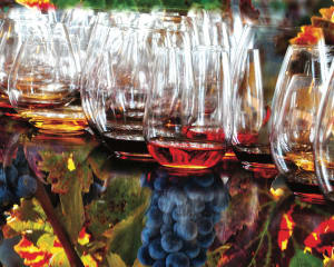 Wine Reflections Drinks & Adult Beverage By Hart Puzzles