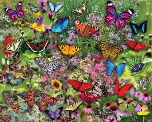 Butterflies, Butterflies, Butterflies Butterflies and Insects By Hart Puzzles