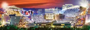Cincinnati Bengals NFL - Stadium Sports By MasterPieces