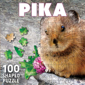 Pika By MasterPieces