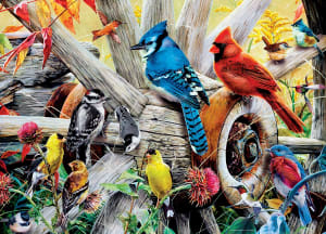 Backyard Birds Birds By MasterPieces