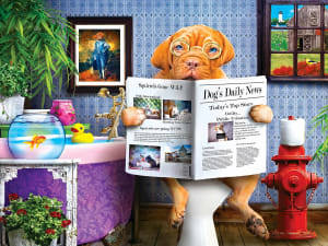 Wild & Whimsical - The Library Collage By MasterPieces