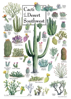 Cacti of the Desert Southwest Flower & Garden By MasterPieces