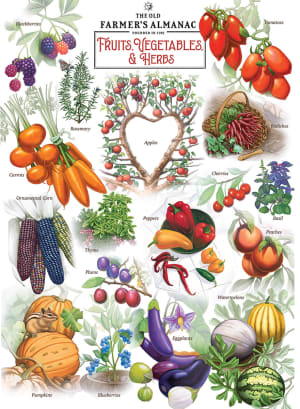 Fruits & Vegetables Fruit & Vegetable By MasterPieces
