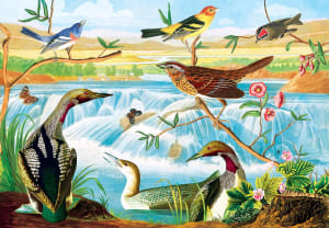 Signature - Audubon Birds By MasterPieces
