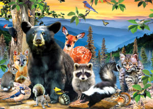 Great Smoky Mountains - Scratch and Dent National Parks By MasterPieces