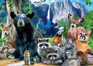 Yosemite National Parks By MasterPieces