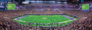 Minnesota Vikings NFL Stadium Panoramics Center View Sports By MasterPieces